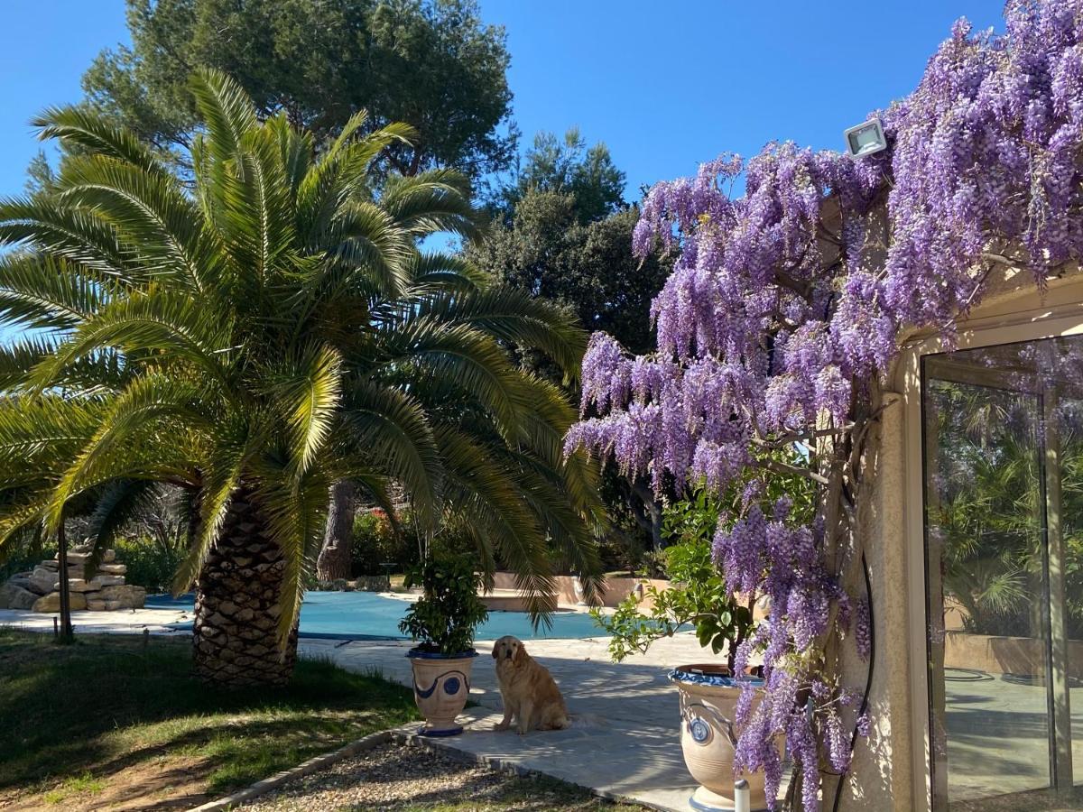 Santolines En Provence Bed & Breakfast Piolenc Екстериор снимка