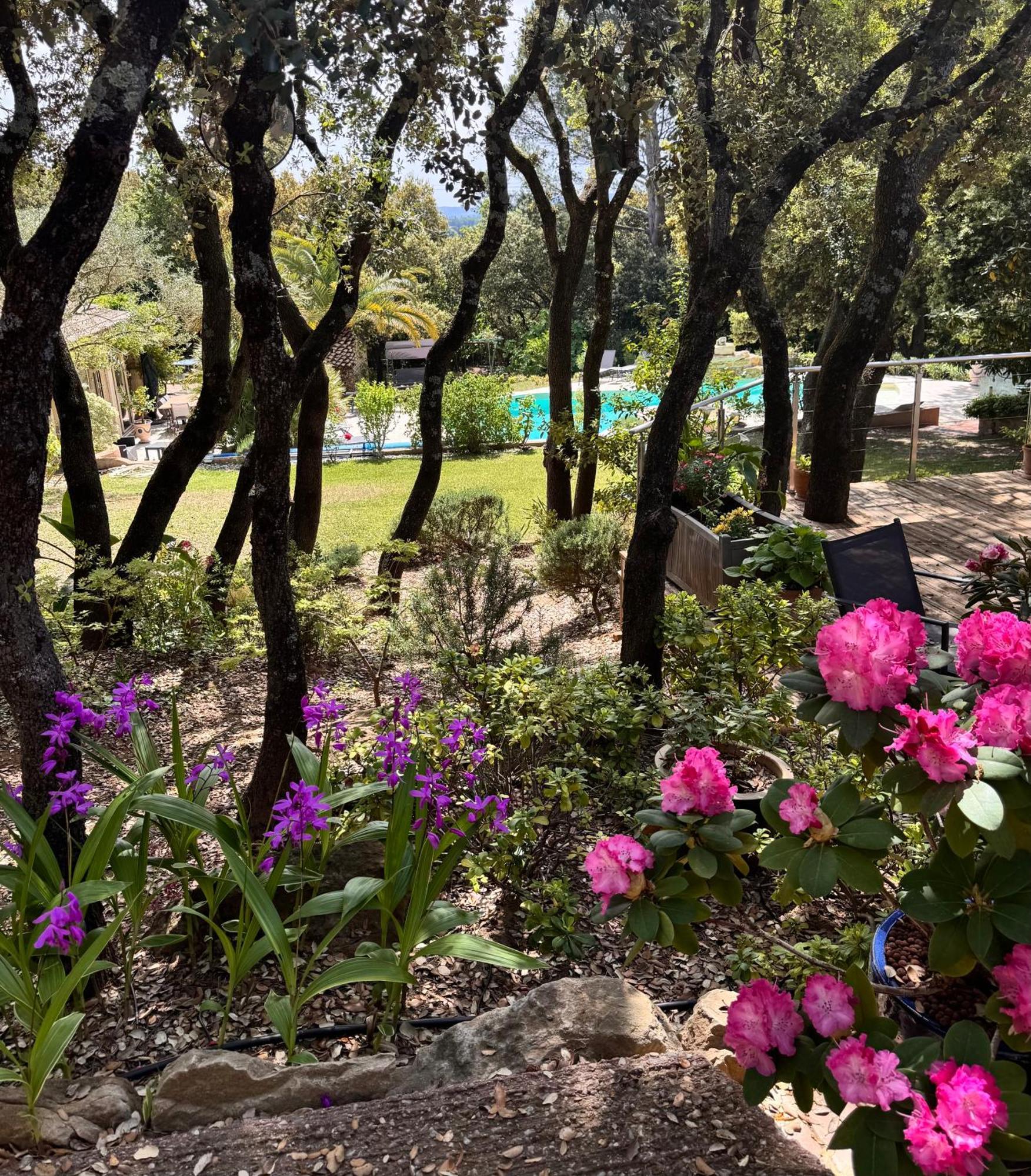 Santolines En Provence Bed & Breakfast Piolenc Екстериор снимка